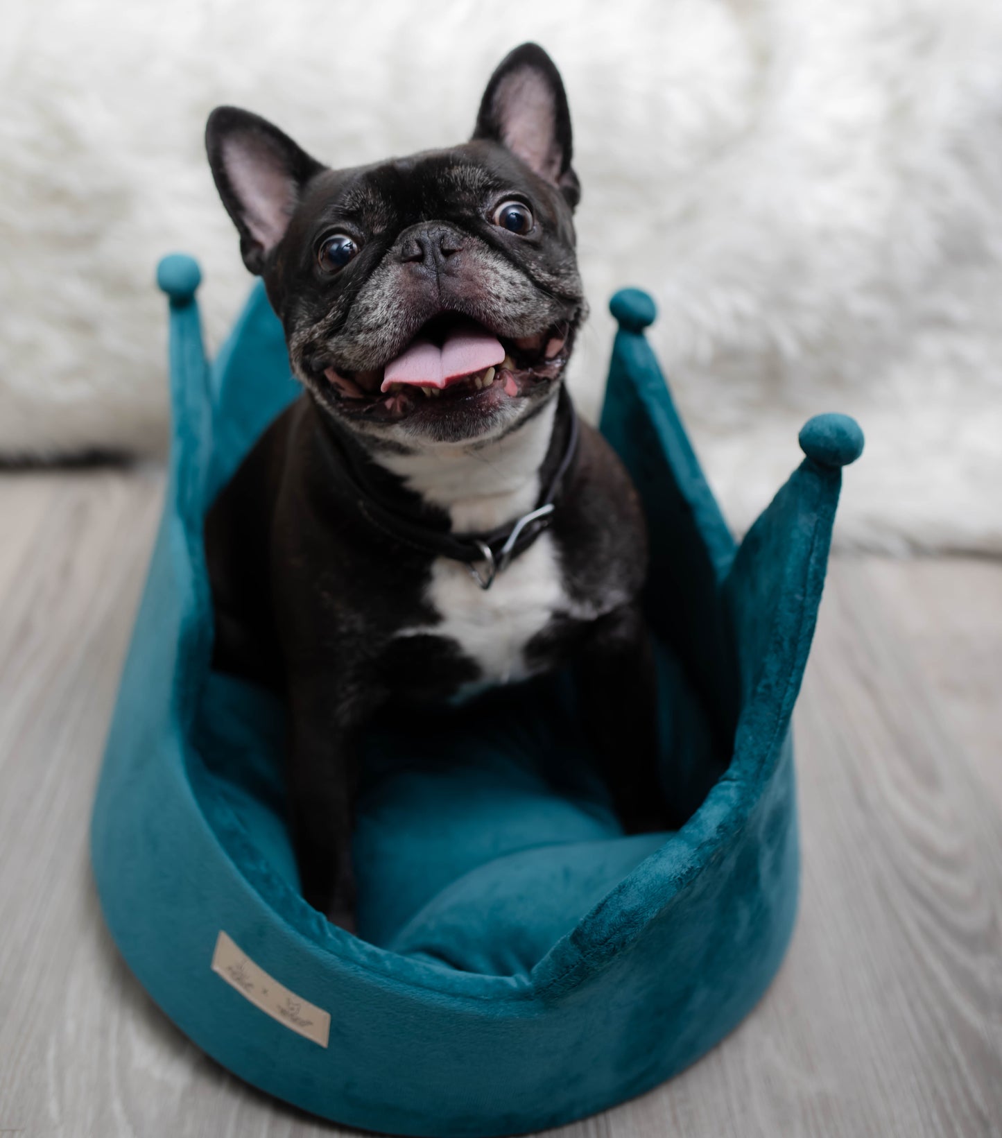 Dark Green Crown Pet Bed